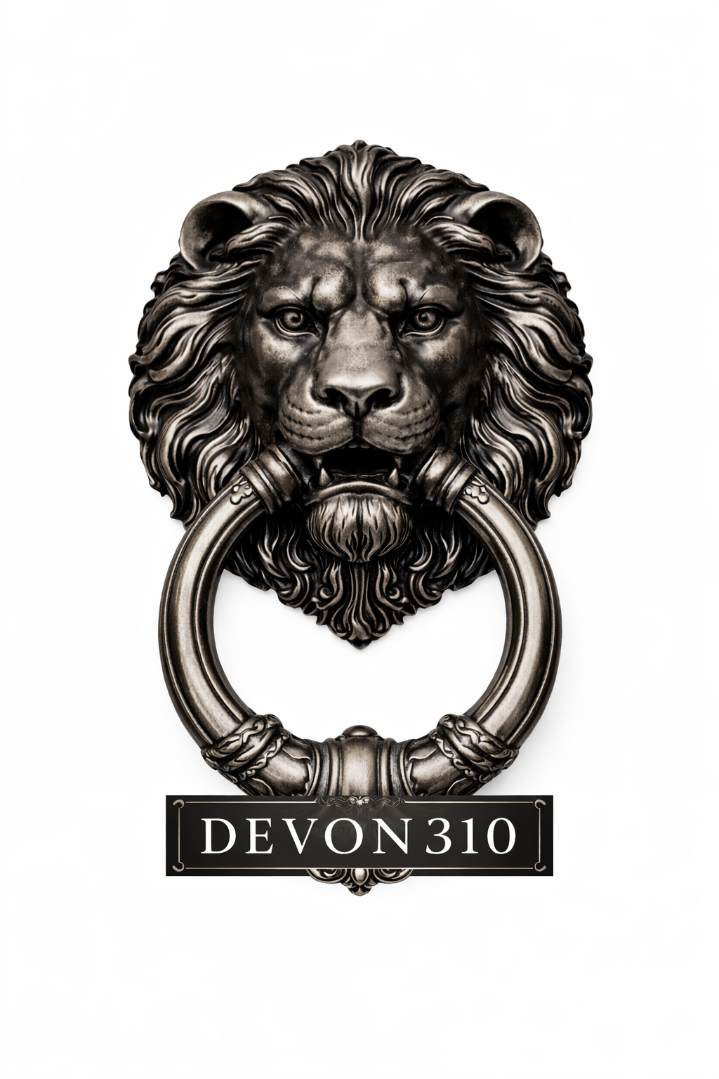 Lion Door Knocker
